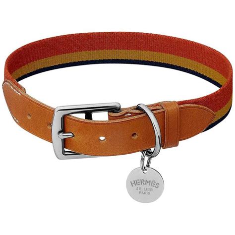 dog collar hermes|hermes dog collars for sale.